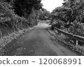 山路照片（黑白影像） 120068991