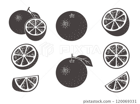 Orange illustration icon set monochrome 120069331