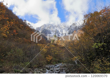 Yuunosawa in late autumn. Three-tiered autumn foliage with snow-capped Mount Tanigawa in the background. 120069370