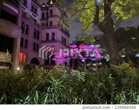 夜晚燈光璀璨的城市景觀 夜晚燈光璀璨的城市景觀 120069389