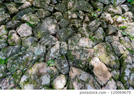 Photographing the stone walls of Tanshoji Temple (Koshuji Temple) in Kameoka, Kyoto Prefecture 120069679