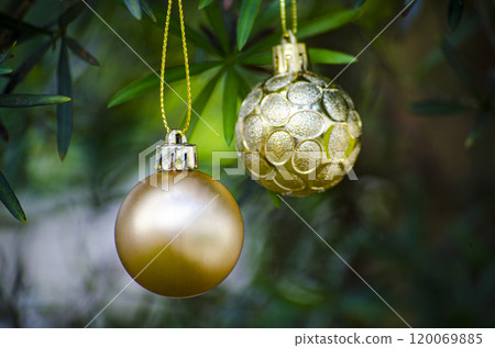 Golden Christmas balls with customizable space for Christmas wishes with pine Christmas trees background. Christmas celebration concept 120069885