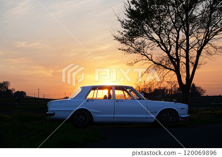 Car in the sunset 120069896