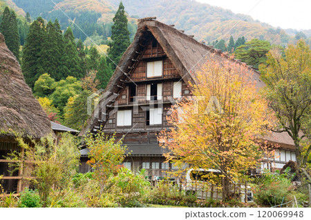 白川鄉合掌造景觀 白川鄉合掌造景觀 120069948