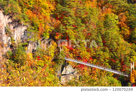 Seto Kaikyo Gorge dyed in autumn leaves in Nikko, Tochigi Prefecture Seto Kaikyo Gorge dyed in autumn leaves in Nikko, Tochigi Prefecture 120070289
