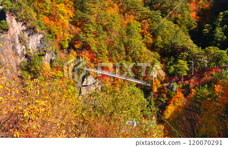 Seto Kaikyo Gorge dyed in autumn leaves in Nikko, Tochigi Prefecture 120070291