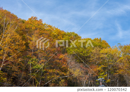 Autumn leaves and autumn sky Autumn leaves and autumn sky 120070342