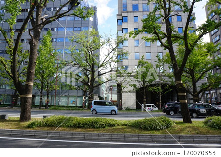 大阪禦堂筋本町地區風景 大阪禦堂筋本町地區風景 120070353
