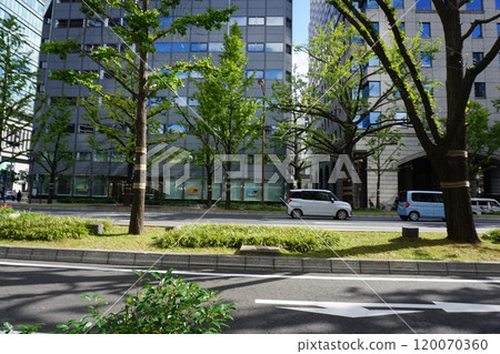 Scenery of the Osaka Midosuji Honmachi area 120070360