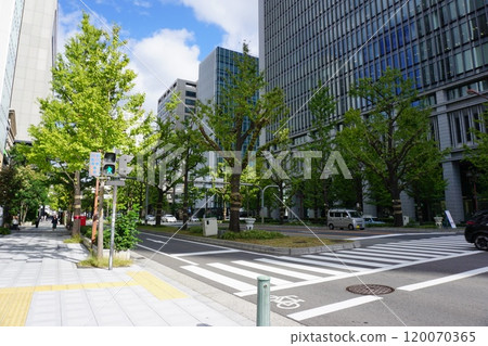Scenery of the Osaka Midosuji Honmachi area 120070365