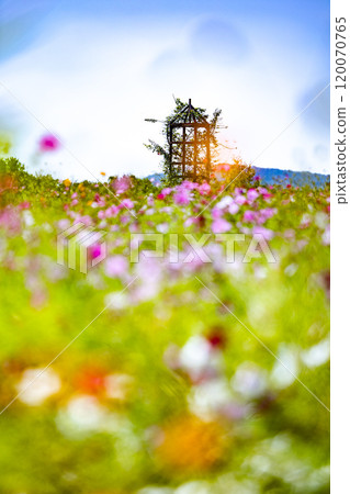 童話風格的宇宙場 童話風格的宇宙場 120070765