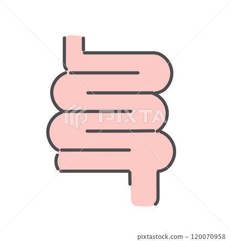 Small intestine illustration 120070958