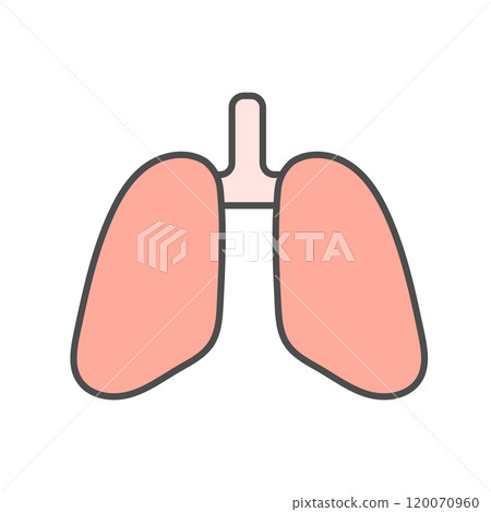 Lung illustration 120070960