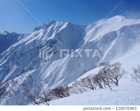 View of the top of the Ojikazawa River and the Managuura River from the Tenjin Ridge of Mt. Tanigawa in winter 120070963