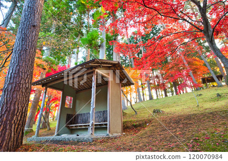 與東屋的紅葉風景 120070984
