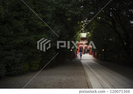 The approach to Hikawa Shrine in Saitama City, Saitama Prefecture 120071308