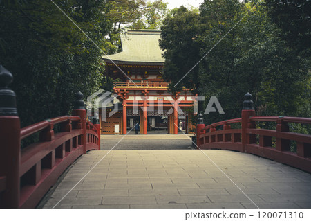 埼玉縣埼玉市冰川神社的參道 120071310