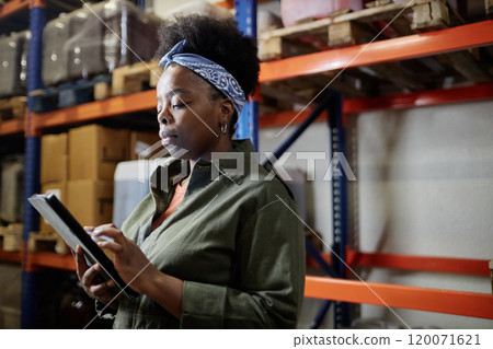 Medium shot of concentrated female African American production supervisor using tablet computer during inventory at factory warehouse, copy space Medium shot of concentrated female African American production supervisor using tablet computer during inventory at factory warehouse, copy space 120071621