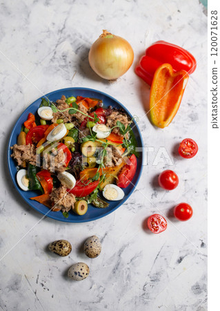 nicoise salad on the table with vegetables top view nicoise salad on the table with vegetables top view 120071628