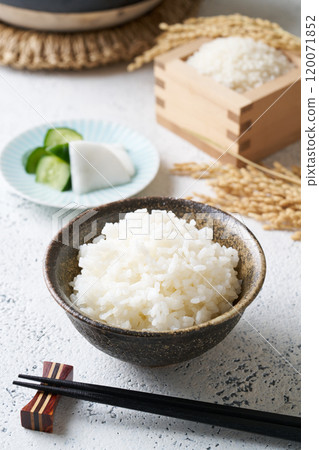 Rice served in a bowl 120071852