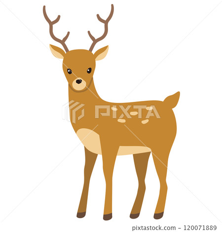 Deer sika deer 120071889