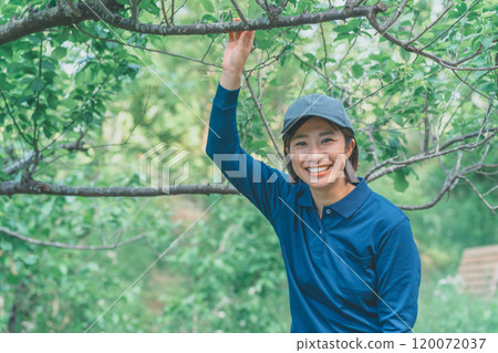 樹木和女商人 120072037