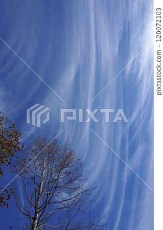 "Curved clouds" appearing in the autumn sky 120072103