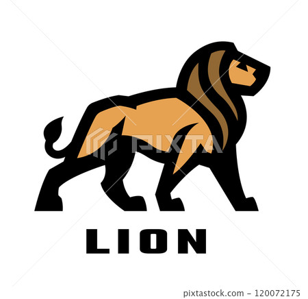 Lion logo, symbol. 120072175