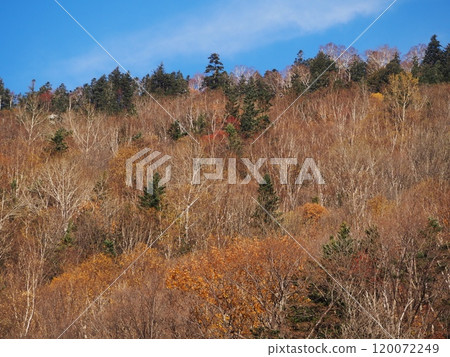 The mountains of Sounkyo lit up by the autumn foliage in late autumn The mountains of Sounkyo lit up by the autumn foliage in late autumn 120072249