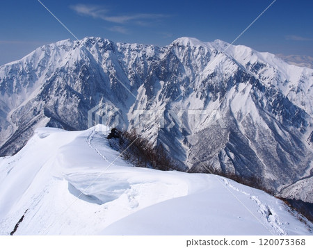 Mt. Tanigawa in winter as seen from Shirakemon Mt. Tanigawa in winter as seen from Shirakemon 120073368