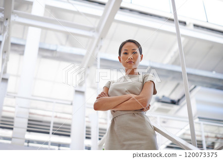 Business, confidence and portrait of Asian woman in office with ambition, opportunity or pride. Professional, consultant or serious businesswoman in workplace with trust, arms crossed and low angle. 120073375