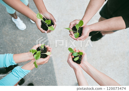 Outdoor, people and hands with plants on soil for sustainability, eco friendly and earth day. Above, solidarity and green crop with charity work, volunteer and NGO for future, environmental or growth 120073474