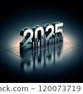 2025 120073719