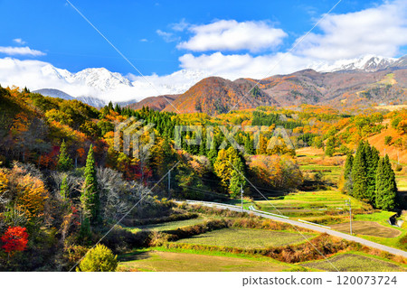 梔池全景橋/從松澤眺望白馬三山（長野縣小谷村） [2024.11] 120073724