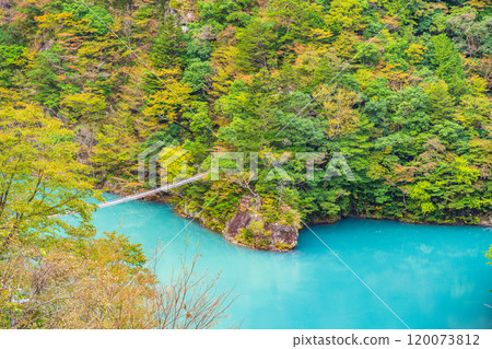 [Shizuoka Prefecture] Autumn at Sumata Gorge - Dream Suspension Bridge 120073812