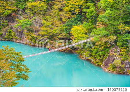 [Shizuoka Prefecture] Autumn at Sumata Gorge - Dream Suspension Bridge 120073816