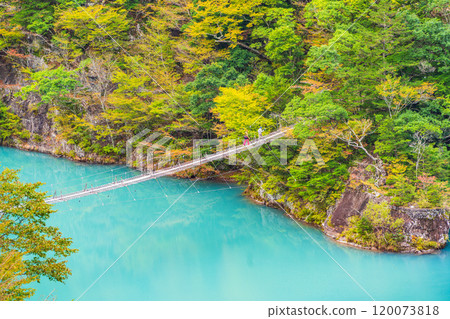 [Shizuoka Prefecture] Autumn at Sumata Gorge - Dream Suspension Bridge 120073818