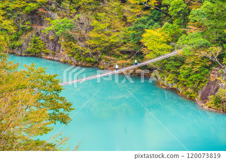 【靜岡縣】秋天的須又峽夢幻吊橋 【靜岡縣】秋天的須又峽夢幻吊橋 120073819