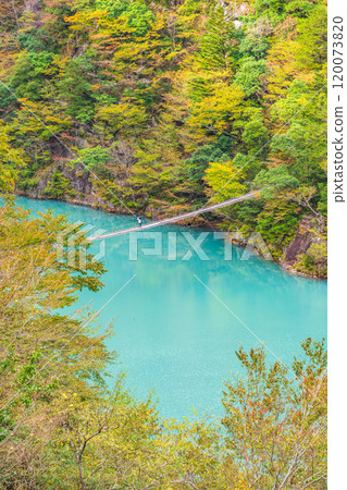 [Shizuoka Prefecture] Autumn at Sumata Gorge - Dream Suspension Bridge 120073820