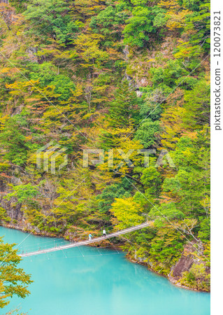 [Shizuoka Prefecture] Autumn at Sumata Gorge - Dream Suspension Bridge 120073821