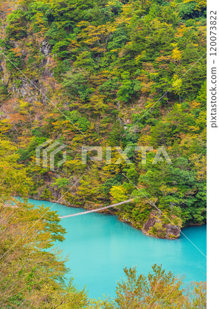 [Shizuoka Prefecture] Autumn at Sumata Gorge - Dream Suspension Bridge 120073822