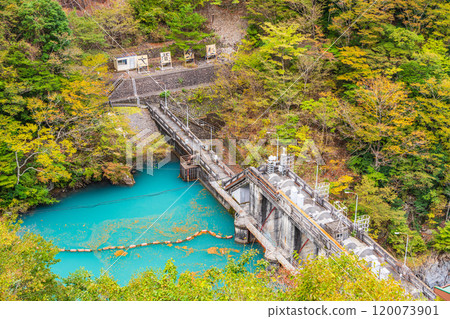 [Shizuoka Prefecture] Autumn at Sumata Gorge, Oma Dam 120073901