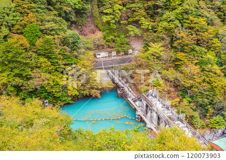 [Shizuoka Prefecture] Autumn at Sumata Gorge, Oma Dam 120073903