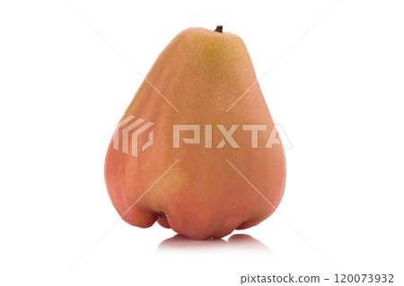 Rose apples isolated on white background Rose apples isolated on white background 120073932