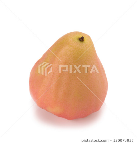 Rose apples  isolated on white background 120073935