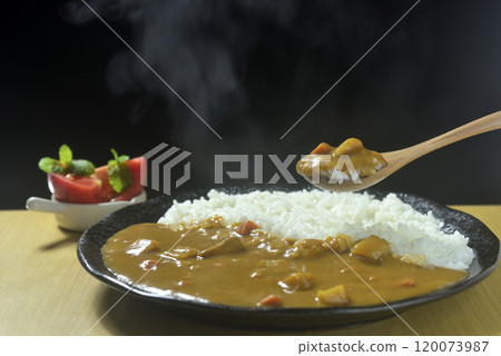 Scoop up the steaming curry rice with a spoon Scoop up the steaming curry rice with a spoon 120073987