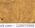 Wood grain photo 1 120073998