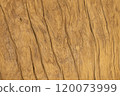 Wood grain photo 2 120073999