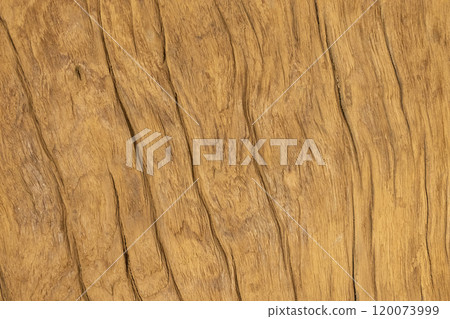 木紋照片2 120073999