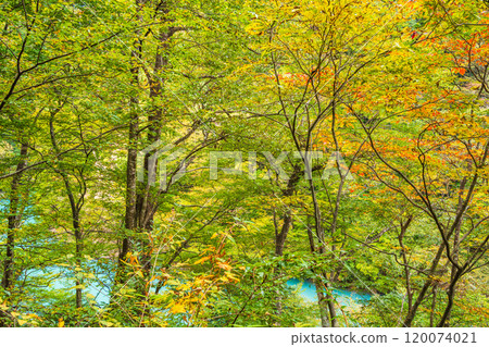 [Shizuoka Prefecture] Autumn in Sumata Gorge: The blue lake surface 120074021